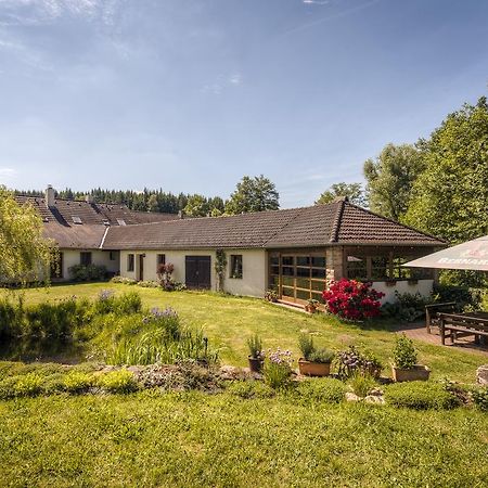 Penzion U Dracice Hotell Nová Bystřice Exteriör bild