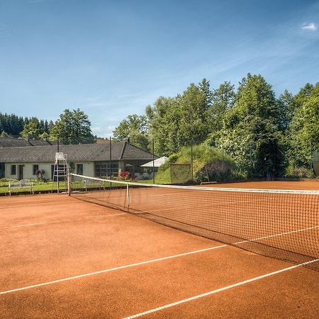Penzion U Dracice Hotell Nová Bystřice Exteriör bild